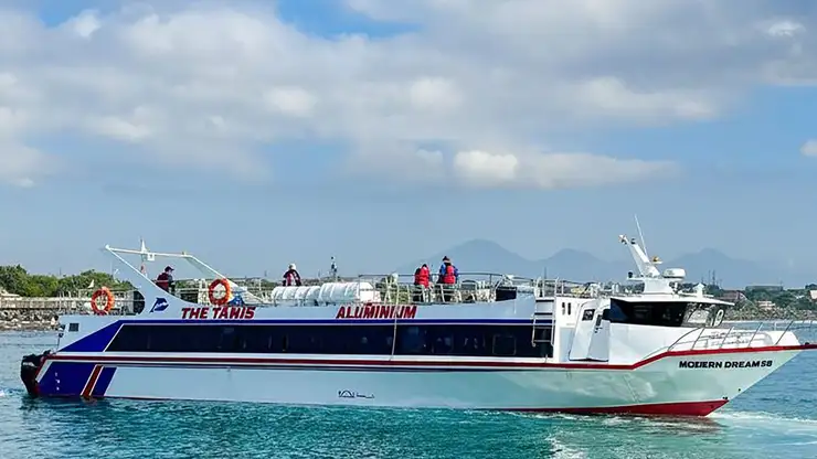 The Tanis Cruise